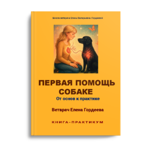 Первая помощь собаке. От основ к практике — PDF-книга Елены Гордеевой