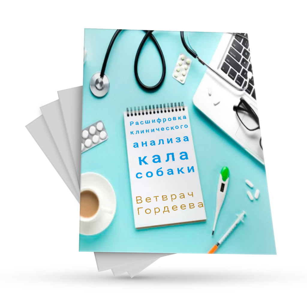 Расшифровка клинического анализа кала собаки