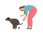 Девушка убирает экскременты за собакой на улице в пакетик, ответственный выгул домашних животных
