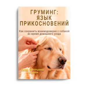 3D обложка электронной книги Елены Гордеевой Груминг Язык прикосновений