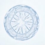 Микрофотография эхинококковой кисты Echinococcus под лабораторным микроскопом в сине-голубых тонах.
