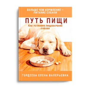 Обложка книги Елены Гордеевой Путь пищи