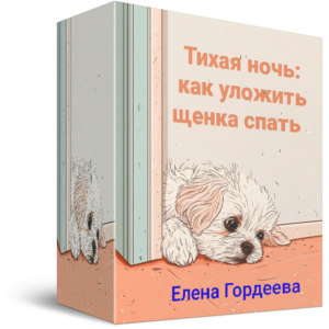 kurs_ylozi_shenka_spat