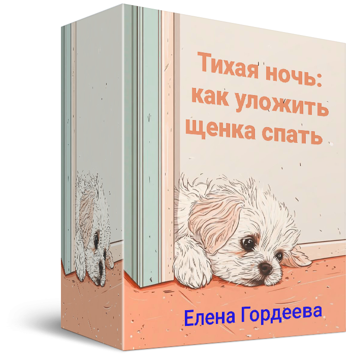 kurs_ylozi_shenka_spat